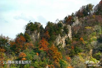 陝西太平國家森林公園-樺林灣照片