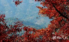 广州从化石门国家森林公园旅游攻略之石门红叶