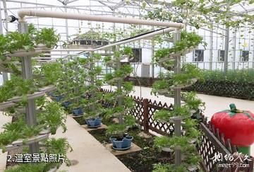 懷化九豐現代農博園-溫室照片