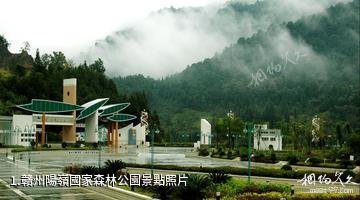 贛州陽嶺國家森林公園照片