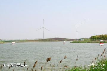 上海濱海森林公園-河湖照片