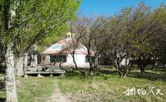 新疆天山野生动物园旅游攻略之步行观赏区