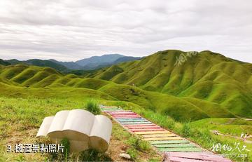 柘榮鴛鴦草場景區-棧道照片