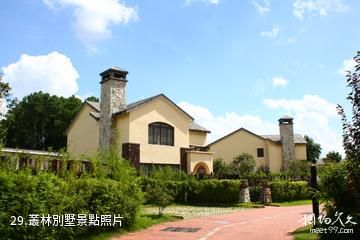 清遠森波拉度假森林景區-叢林別墅照片