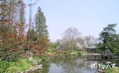 杭州植物园旅游攻略之植物分类区