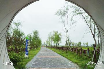 西咸沣东沣河生态景区-园路照片