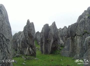 曲靖花山湖-小石林照片