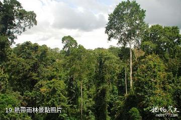 迦納阿克拉市-熱帶雨林照片