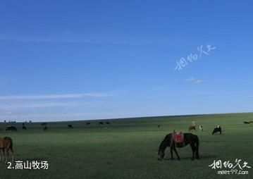 锡林郭勒盟苏尼特右旗社保局旅游点-高山牧场照片