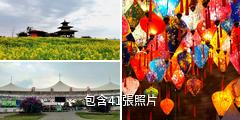 成都蔚然花海景區驢友相冊