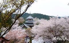 日本奈良旅游攻略之吉野山