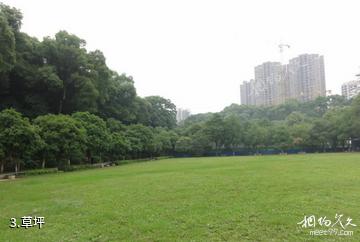 湖南西汉长沙王室墓-草坪照片