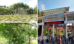 中科院西雙版納熱帶植物園驢友相冊