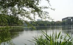 天津大学校园概况之青年湖