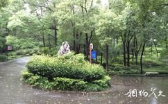 湖南省森林植物园旅游攻略之森林