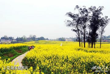 重慶忠縣灌湖水鄉景區-花海照片