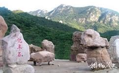 蓟县九山顶自然旅游攻略之亿年石