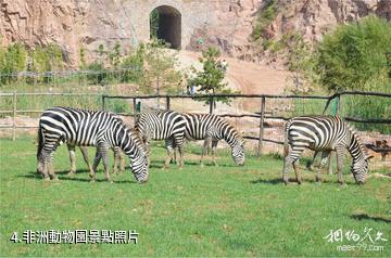 昌邑青山秀水景區-非洲動物園照片