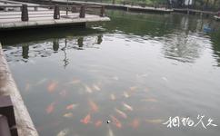常州荆川公园旅游攻略之池塘
