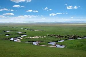 內蒙古錫林郭勒盟太僕寺旗旅遊攻略-萬壽灘良種場景點排行榜