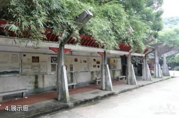 湖南西汉长沙王室墓-展示廊照片