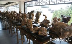 安徽五千年文博园旅游攻略之小型根雕