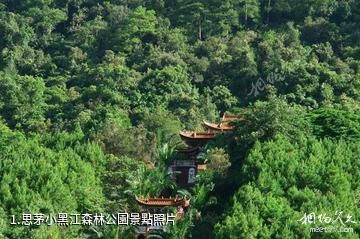 思茅小黑江森林公園照片