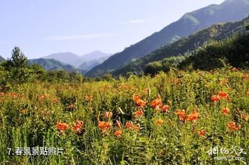 陝西長青國家級自然保護區-春景照片