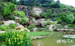 重庆铁山坪森林公园旅游攻略之松翠瀑