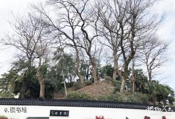 上海亭林遗址公园-读书堆照片
