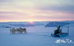 格陵蘭島旅遊攻略之狗拉雪橇