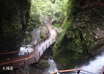 仙居官坑风景区-栈道照片