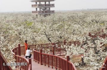 冠州梨園風景區-棧道照片