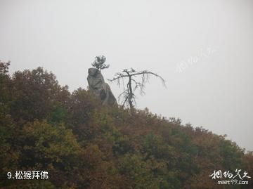 遵化鹫峰山-松猴拜佛照片