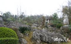 重慶海石公園旅遊攻略之海花石