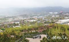 青島百果山世界園藝博覽會旅遊攻略之山地園