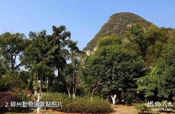 柳州動物園-柳州動物園照片