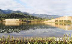 西安周至秦岭国家植物园旅游攻略之水生植物区