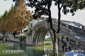 上海金澤古鎮-放生橋照片