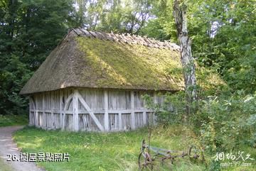 歐登塞菲英村-樹屋照片