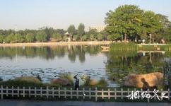 仙女湖公園旅遊攻略之公園景觀