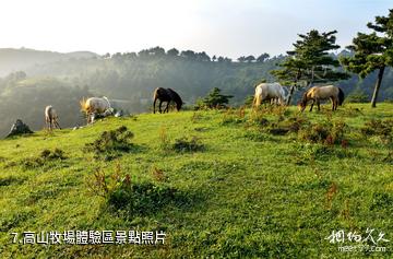 宜昌百里荒高山草原旅遊區-高山牧場體驗區照片