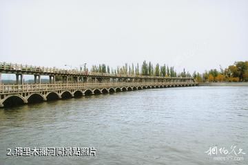 塔里木祥龍湖風景區-塔里木攔河閘照片