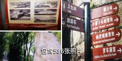 重庆歌乐山国家森林公园驴友相册