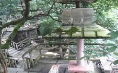 重庆歌乐山国家森林公园旅游攻略之井字茶楼