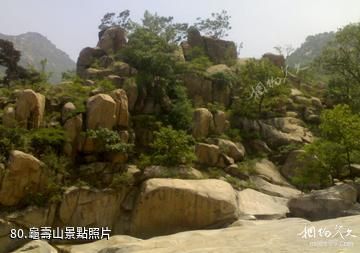 泰安徂徠山國家森林公園-龜壽山照片