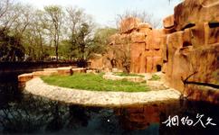 上海动物园旅游攻略之虎山