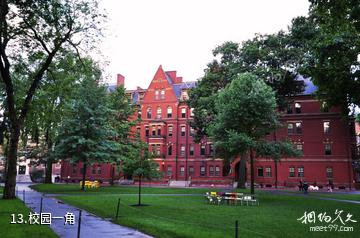 美国哈佛大学-校园一角照片