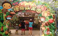 广州长隆旅游攻略之惊奇瓜果园