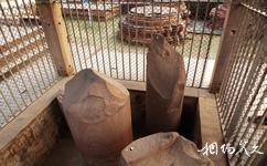 印度瓦拉纳西市旅游攻略之阿育王石柱